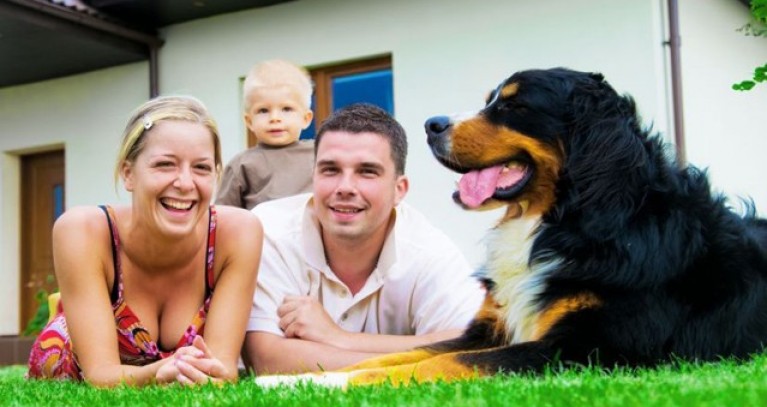 család és kutya biztosítás